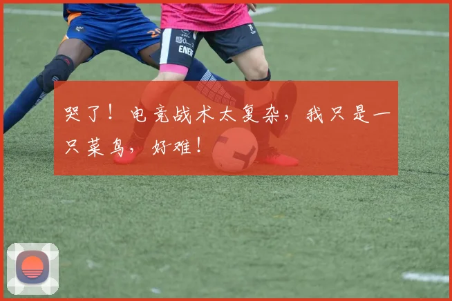 哭了！电竞战术太复杂，我只是一只菜鸟，好难！